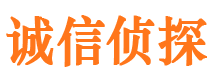 临翔市调查公司